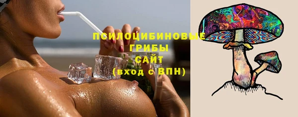Альфа ПВП Майский