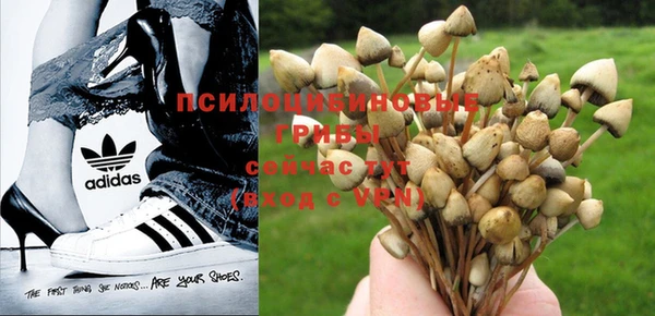 Альфа ПВП Майский