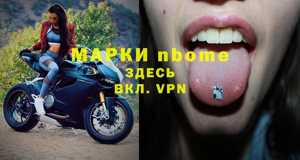 индика Бугульма