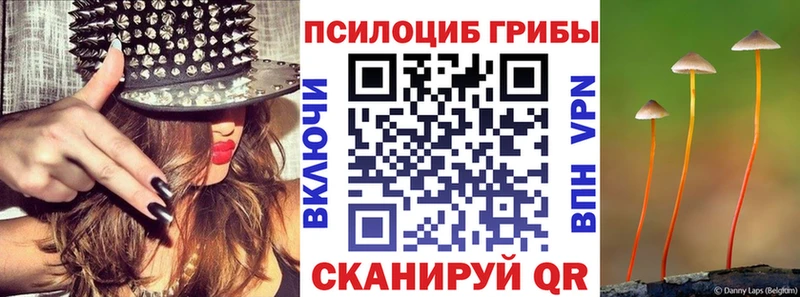 Псилоцибиновые грибы GOLDEN TEACHER  магазин    МЕГА маркетплейс  Черняховск 