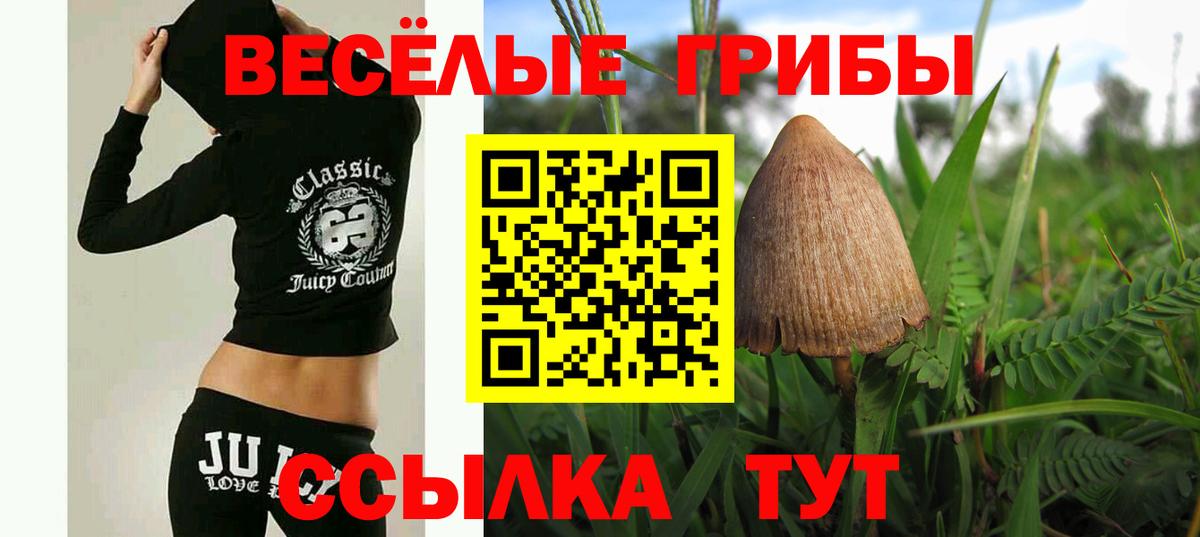 Галлюциногенные грибы MAGIC MUSHROOMS  Галлюциногенные грибы Cubensis  Черняховск  Вход с VPN 